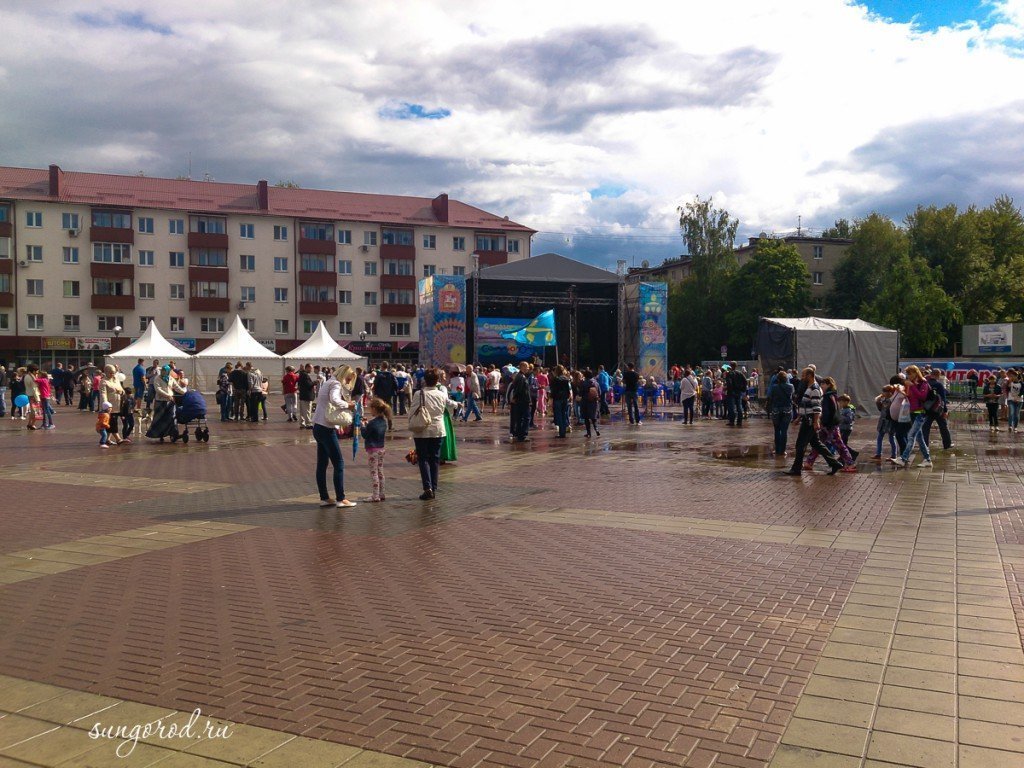 sungorod.ru